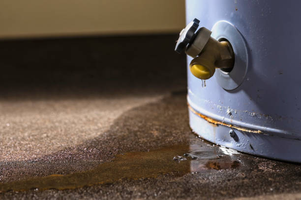 Best Flood damage cleanup  in Meadowbrook, CA