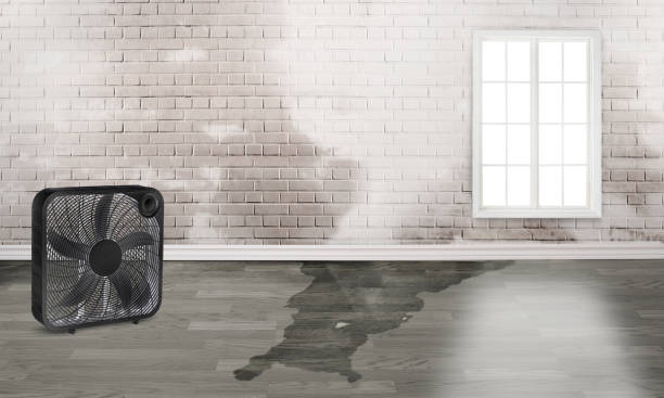 Best Commercial water damage restoration  in Meadowbrook, CA