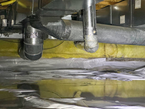 Best Flooded house restoration  in Meadowbrook, CA