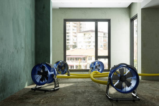 Best Fire Damage Restoration  in Meadowbrook, CA