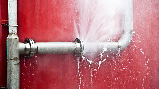 Best Water damage restoration near me  in Meadowbrook, CA